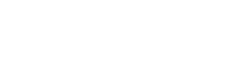 お車の美しさを引き立てるプロフェッショナル